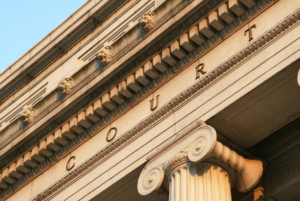 Criminal Litigation